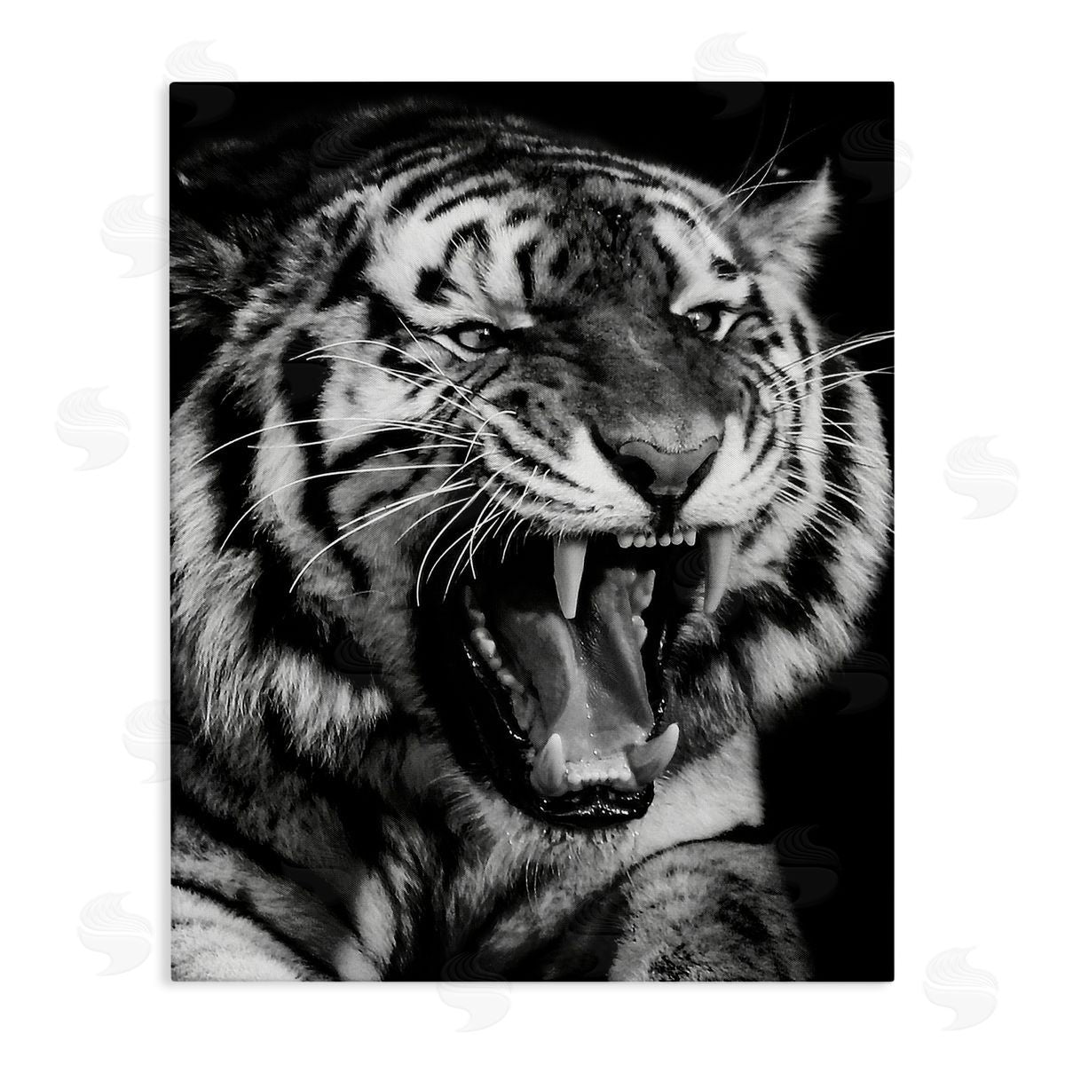 Marcus Prime | Tiger Roaring Photography