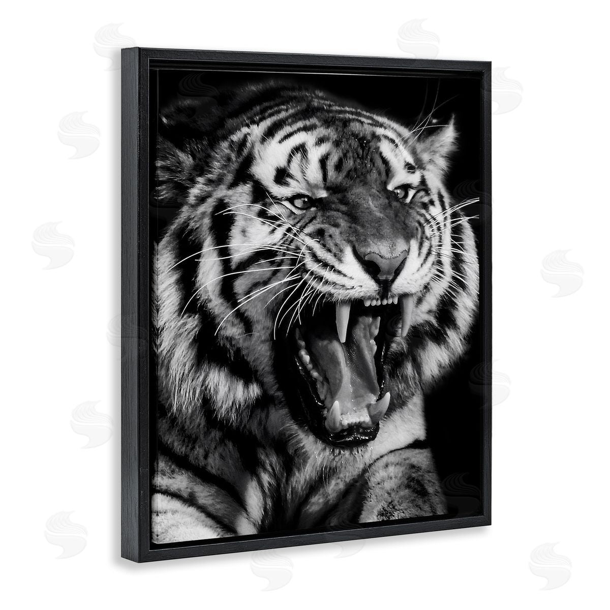 Marcus Prime Tiger Roaring Photography Black Floater Frame Canvas Artside_