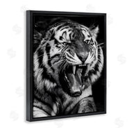 Marcus Prime | Tiger Roaring Photography