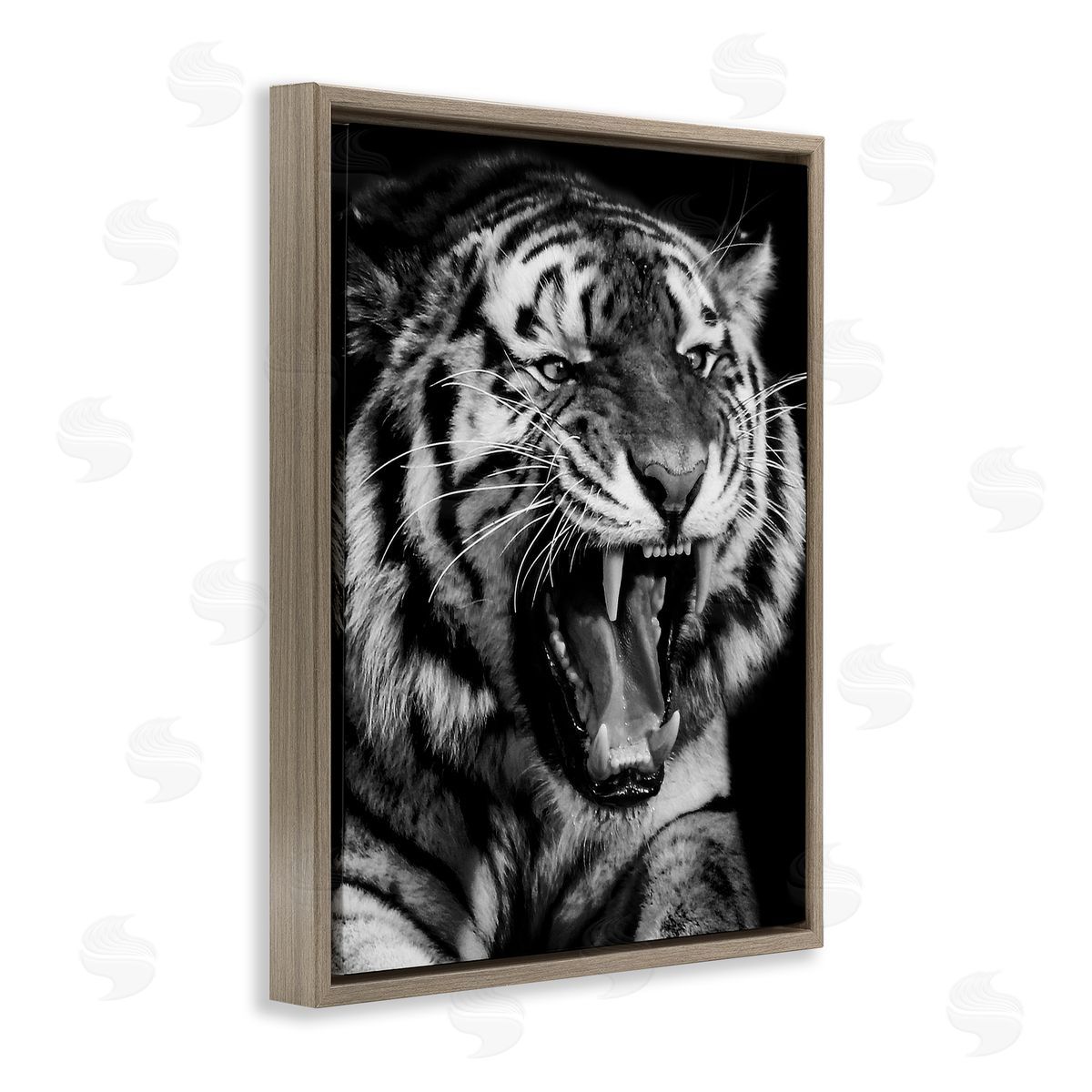 Marcus Prime Tiger Roaring Photography Brown Floater Frame Canvas Artside_