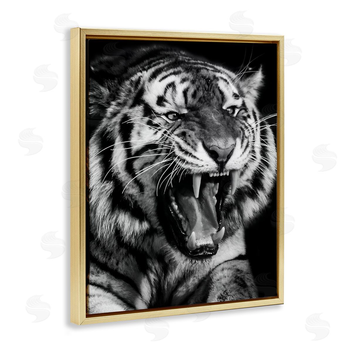 Marcus Prime | Tiger Roaring Photography