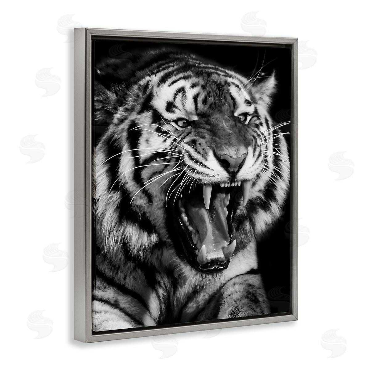 Marcus Prime | Tiger Roaring Photography
