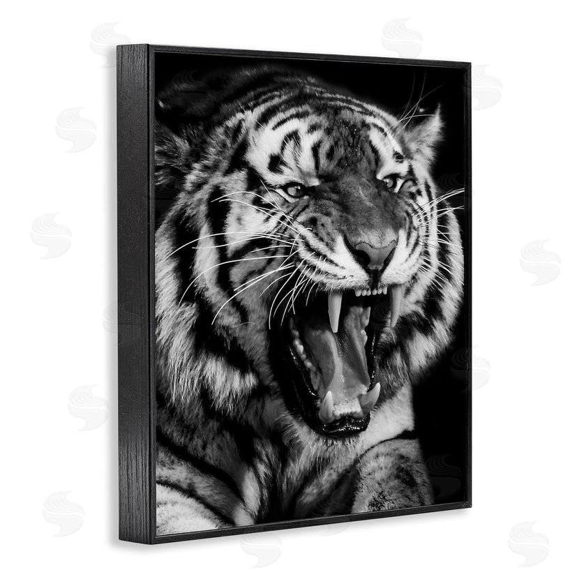 Marcus Prime | Tiger Roaring Photography