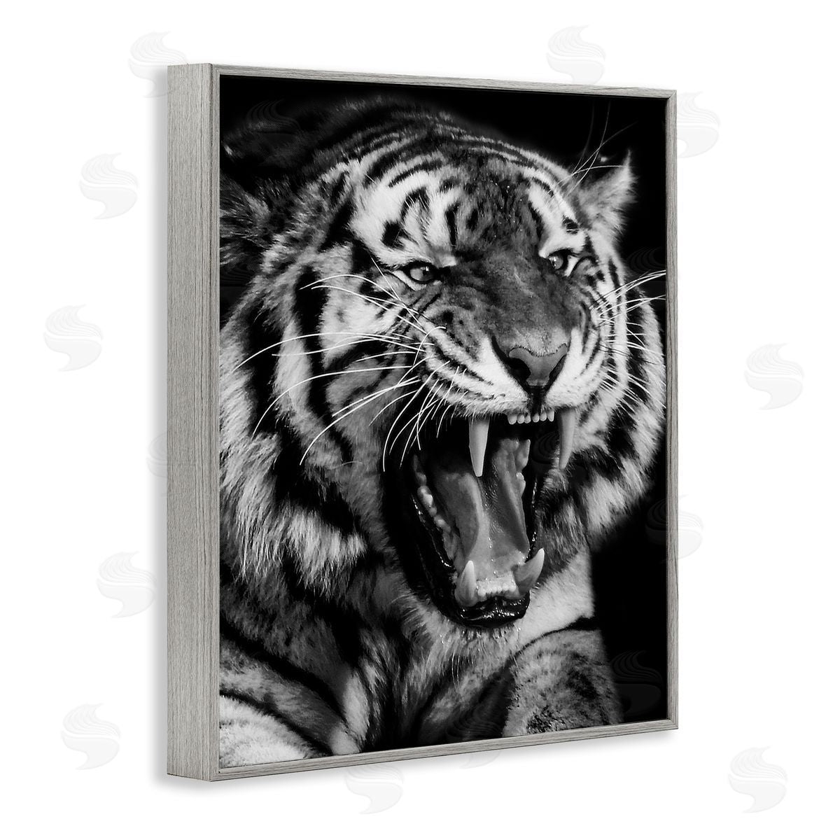 Marcus Prime Tiger Roaring Photography Gray Framed Giclee Wall Artside_