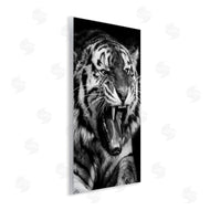 Marcus Prime | Tiger Roaring Photography