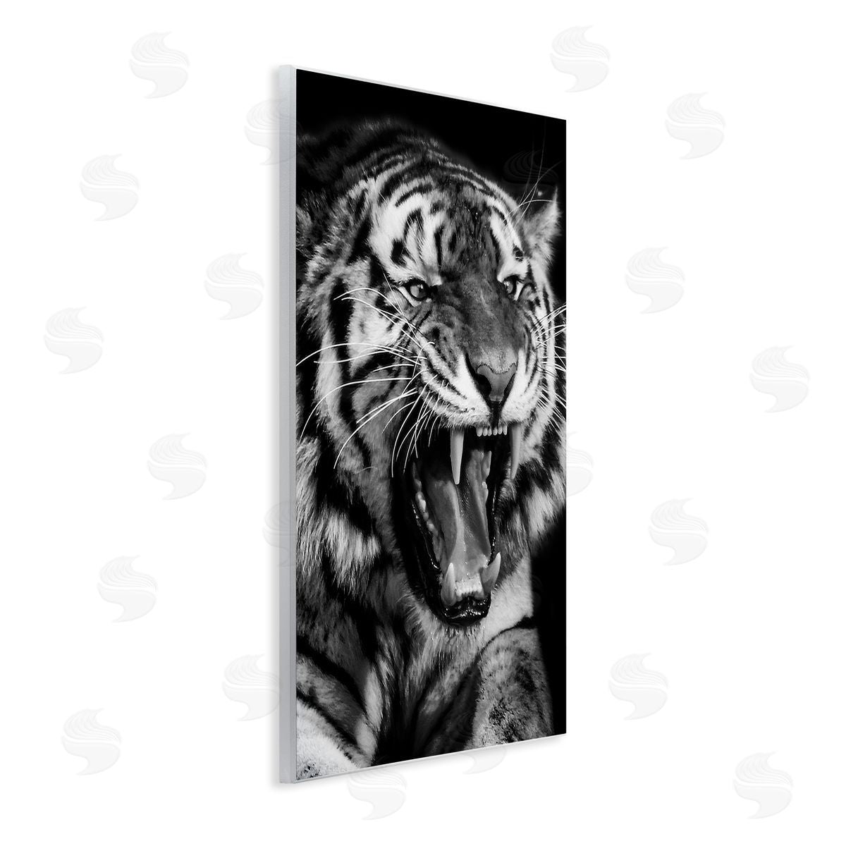 Marcus Prime | Tiger Roaring Photography