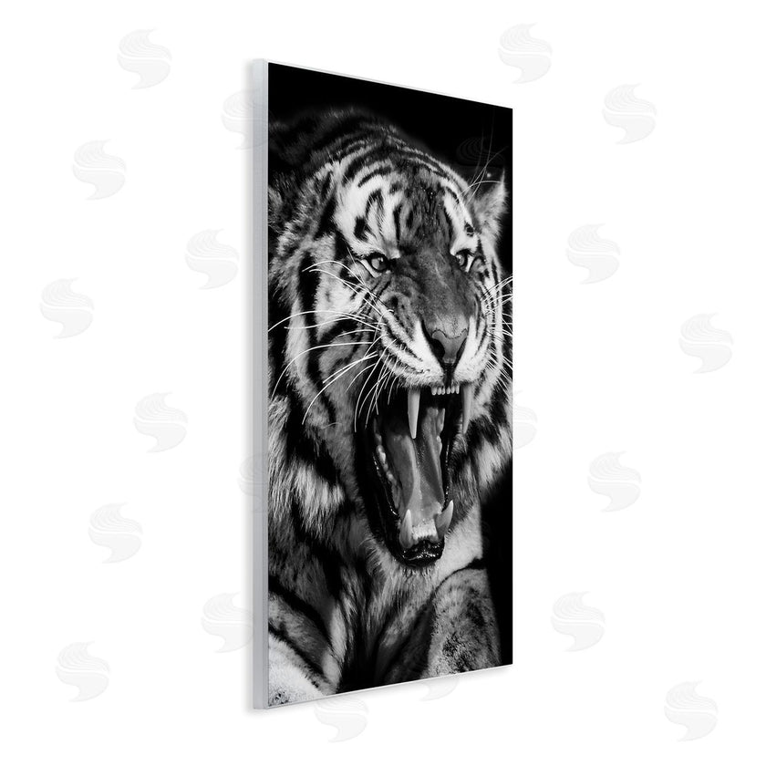 Marcus Prime | Tiger Roaring Photography