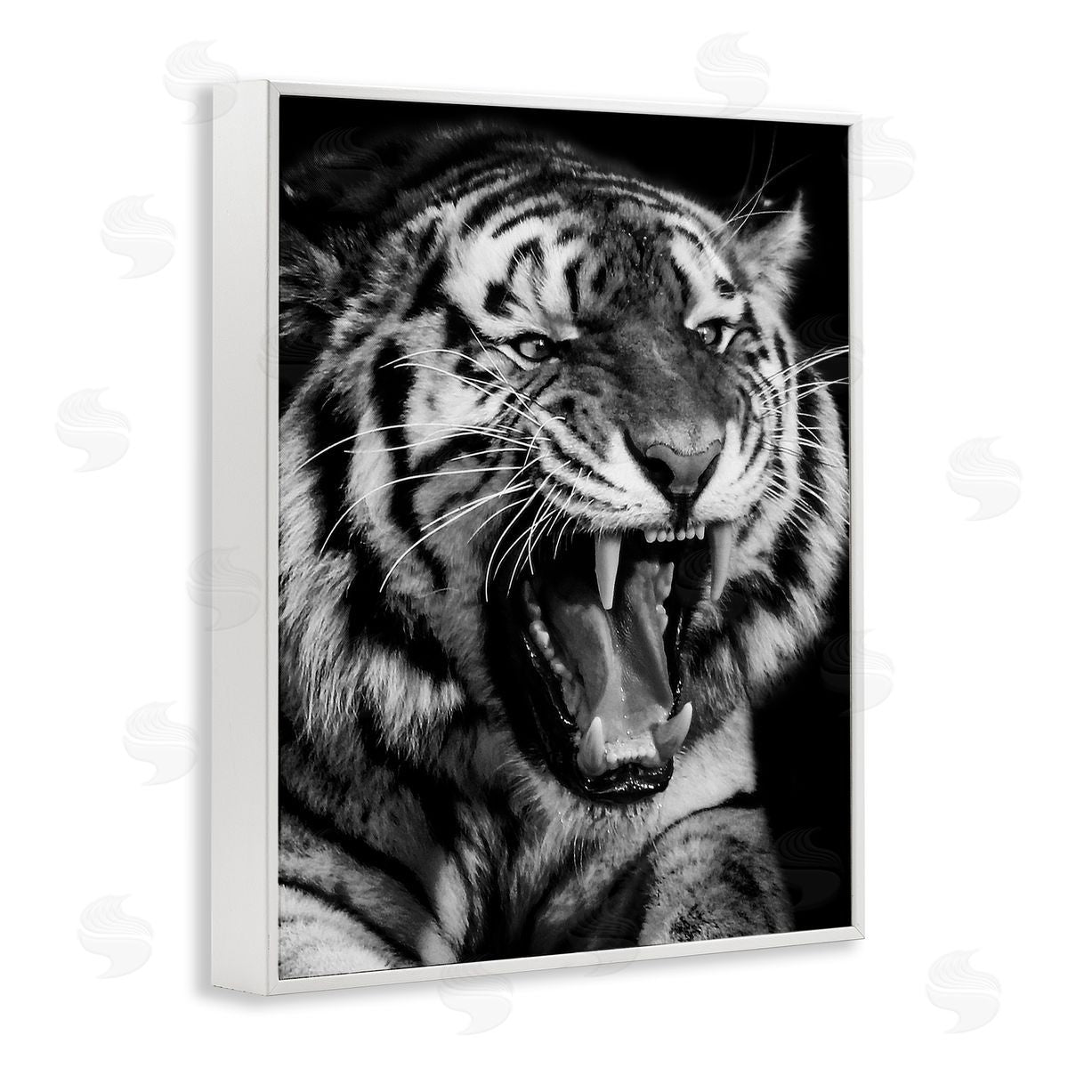 Marcus Prime Tiger Roaring Photography White Framed Giclee Wall Artside_