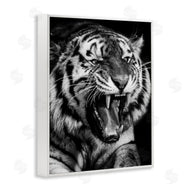 Marcus Prime | Tiger Roaring Photography