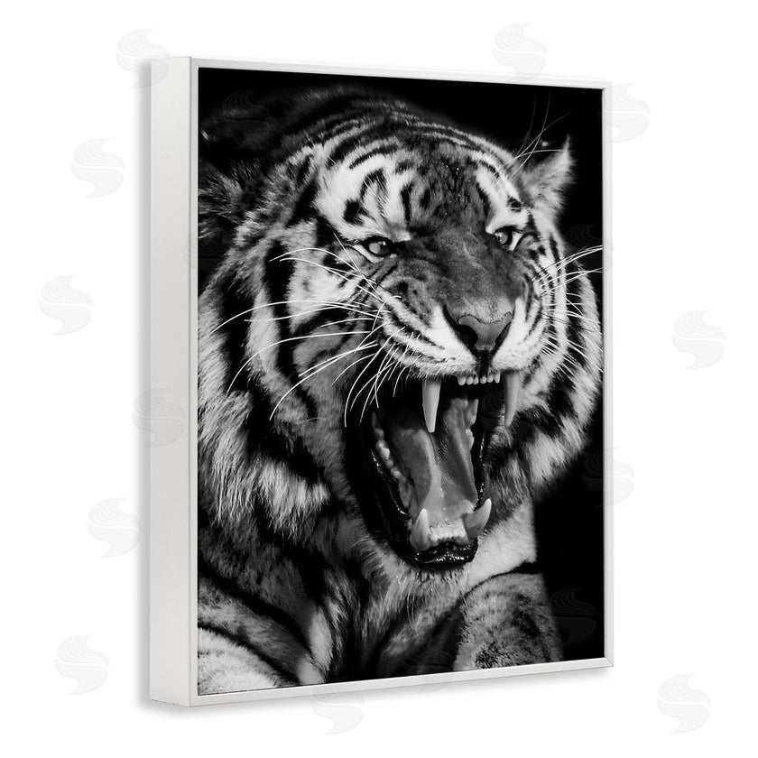 Marcus Prime | Tiger Roaring Photography