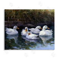 Ziwei Li | Five Ducks in Pond