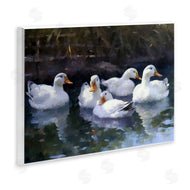 Ziwei Li | Five Ducks in Pond