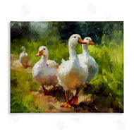 Ziwei Li | Duck Family in Nature