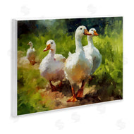 Ziwei Li | Duck Family in Nature