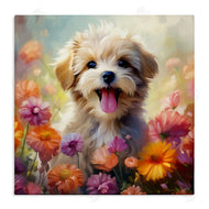 Roozbeh | Dog in Daisy Meadow