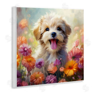 Roozbeh | Dog in Daisy Meadow