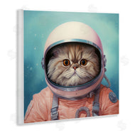 Roozbeh | Astronaut Cat in Space