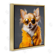 Roozbeh | Trendy Chihuahua Portrait