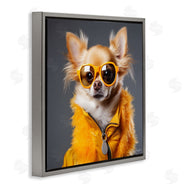 Roozbeh | Trendy Chihuahua Portrait