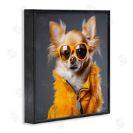Roozbeh | Trendy Chihuahua Portrait