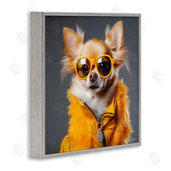 Roozbeh | Trendy Chihuahua Portrait