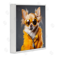 Roozbeh | Trendy Chihuahua Portrait
