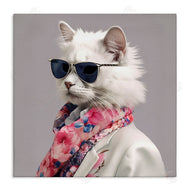 Roozbeh | Stylish Cat Fashion
