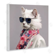 Roozbeh | Stylish Cat Fashion