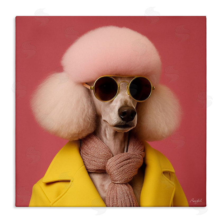 Roozbeh | Chic Poodle Fashion
