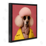 Roozbeh | Chic Poodle Fashion