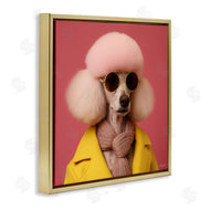 Roozbeh | Chic Poodle Fashion