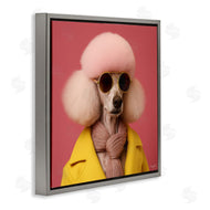 Roozbeh | Chic Poodle Fashion