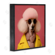 Roozbeh | Chic Poodle Fashion