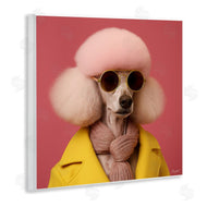 Roozbeh | Chic Poodle Fashion