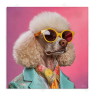 Roozbeh | Stylish Poodle Portrait