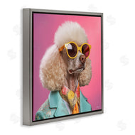 Roozbeh | Stylish Poodle Portrait