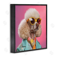 Roozbeh | Stylish Poodle Portrait