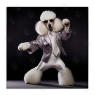 Roozbeh | Poodle Dancing Portrait