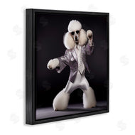 Roozbeh | Poodle Dancing Portrait