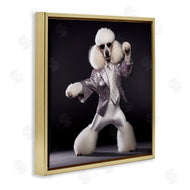 Roozbeh | Poodle Dancing Portrait