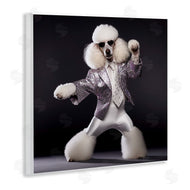 Roozbeh | Poodle Dancing Portrait