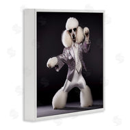Roozbeh | Poodle Dancing Portrait
