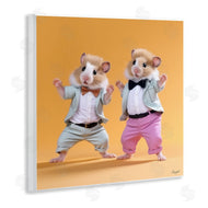 Roozbeh | Dancing Hamsters Duo