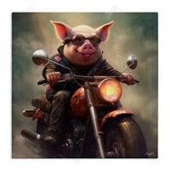 Roozbeh | Biker Pig on Motorcycle