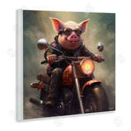 Roozbeh | Biker Pig on Motorcycle