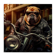 Roozbeh | Bulldog Biker Portrait