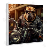 Roozbeh | Bulldog Biker Portrait