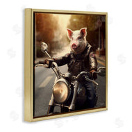 Roozbeh | Pig Riding Motorcycle