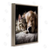 Roozbeh | Cat & Dog Photography