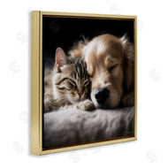Roozbeh | Cat & Dog Photography
